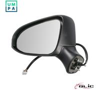 BLIC 5402-16-1400312P Wing mirror