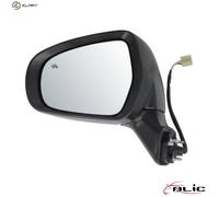 BLIC 5402-18-1382312P Wing mirror