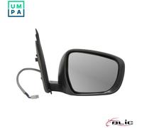 BLIC 5402-18-2119311P Wing mirror