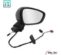 Turn signals BLIC 5402-21-039364P for CITROËN