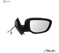 BLIC 5402-21-044334P Wing mirror