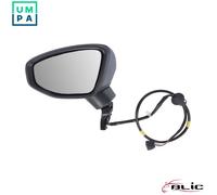 BLIC 5402-25-2320310P Wing mirror
