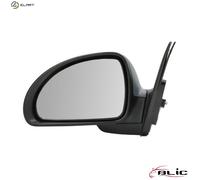 BLIC 5402-53-0636310P Wing mirror
