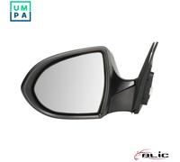 BLIC 5402-53-0671310P Wing mirror