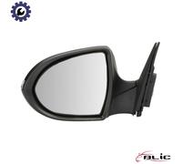 BLIC 5402-53-0671312P Wing mirror