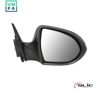 BLIC 5402-53-0671313P Wing mirror