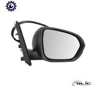 BLIC 5402-67-2146315P Wing mirror