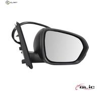 BLIC 5402-67-2146315P Wing mirror