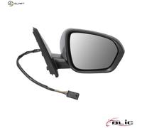 BLIC 5402-67-2146317P Wing mirror