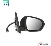 BLIC 5402-67-2146319P Wing mirror