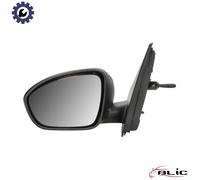 BLIC 5402-67-2460353P Wing mirror