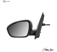 BLIC 5402-67-2460353P Wing mirror