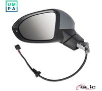 BLIC 6102-01-2297310P Wing mirror