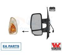 Exterior Mirror for RENAULT MASTER VAN WEZEL 3799807 fits Left
