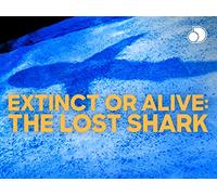 Extinct Or Alive: The Lost Shark - Season 1