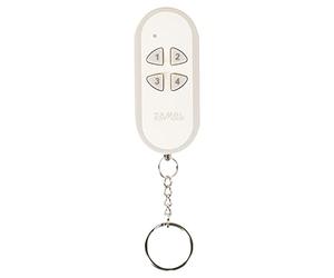 Extra 4-Channel Transmitter 1 P 257/Pack of 4