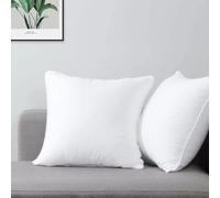 Extra Fill Plump Hollowfibre Cushions Pads Super Soft Inners Fillers Scatters Quick Rebound Fluffy Cushion Stuffer Inserts, Perfect for Sofa Bed Office Car or Pets Cushion (16 x 16 inch Pack of 2)