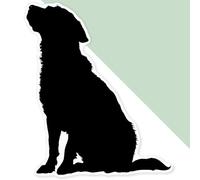 Extra Large 460mm 'Silhouette of Dog Sitting' Permanent Sticker Decal for Cars/Windows/Bins/Walls (DW00112895)