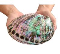 Extra Large Abalone Seashell, Full Polished Rare Vintage New Blue Abalone Shell, Multihole Decorative Smudging Abalone Shell Party Wedding Home Decorations Accessories 130x170x42mm Hole: Approx 6-11mm