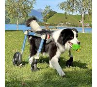 Extra Large Dog Wheelchair for Front & Hind Legs Adjustable Pet Mobility Aid for Dogs & Cats Disability Support Stroller Size S Blue Color