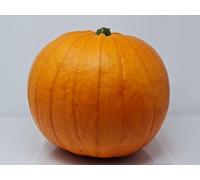 Extra Large Fresh Pumpkin for Halloween Carving 8-10kg x 1