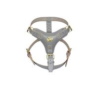 Extra Large Heavy Duty Grey Leather Dog Harness with Gold Fittings and American Bully Head Motif
