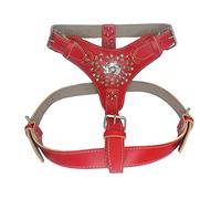 Extra Large Heavy Duty Red Leather Dog Harness with Studded Design and American Bully Head Motif