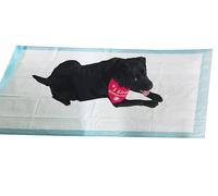 EXTRA LARGE PUPPY PADS XXL 160CM TRAINING TOILET PEE WEE MATS FLOOR TRAINER MEDIUM TO XL DOG TRAIN PET JUMBO ANTI CLIP PROTECTION PROTECTOR SHEET SUPER ABSORBENT HEAVY DUTY MAT