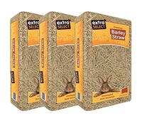 Extra Select Barley Straw Bedding - Soft Animal Bedding for Rabbit, Tortoise, and More - 2 kg (Pack of 3)