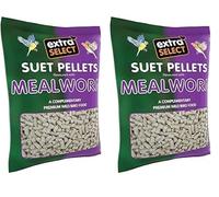 Extra Select Mealworm High Energy Suet Pellets Wild Bird Food - Protein, Fat Rich Year-Round Feeding - 3 kg Refill (Pack of 2)
