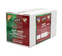 Extra Select WB047 Berry Suet Blocks 6x300gm