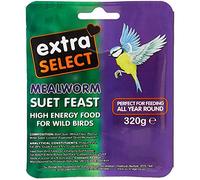 Extra Select Wild Bird High Energy Suet Block Mealworm, 6 x 320 g