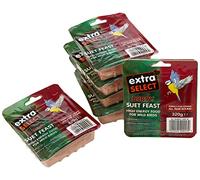 Extra Select Wild Bird High Energy Suet Block Wild Berry, 320 g (Pack of 6)