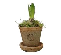 Extra Small Terracotta Plant Pot with Saucer, Rustic Planter, Succulent Pot Petite Terracotta Plant Pot with Dish, Redstone Weathered Aged Stone Herb, Bulb, Crocus, Flower Pot Planter