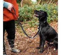 Extra Stretch Dog Lead Bungee Elastic Flexible Soft Padded Handle Walking Leash