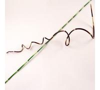 Extra Strong Flexible Wired Bamboo Cane (Green)