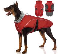 Extra Warm Dog Coat, Winter Jacket Medium Dogs Windproof Fleece Vest Outfit Jack Russel Cocker Spaniel Beagle for Dark Night Early Mornings Wear(Red, L)