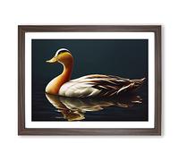 Extraordinary Duck Framed Print | A2 Walnut Framed Wall Art | Ready to Hang | Modern Animal Picture | Living Room Bedroom Lounge Office