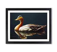 Extraordinary Duck Framed Wall Art Print A2 Black