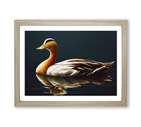Extraordinary Duck Framed Wall Art Print A2 Oak