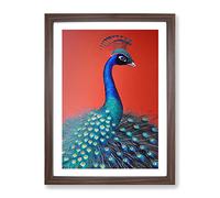 Extraordinary Peacock Framed Print | A2 Walnut Framed Wall Art | Ready to Hang | Modern Animal Picture | Living Room Bedroom Lounge Office