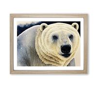 Extraordinary Polar Bear BLK Framed Wall Art Print A2 Oak