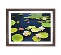 Extraordinary Water Lily Pond H1022 Framed Print for Living Room Bedroom Home Office Décor, Wall Art Picture Ready to Hang, Walnut A3 Frame (46 x 34 cm)