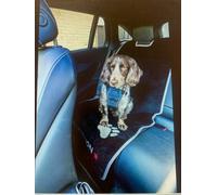 eXtreme Car Seat Carpet Adjustable Headrest