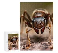 Extreme Close-up of An Ant's Head Jigsaw Puzzle, 300 PCS, Indoor Activity for The Home, An Absorbing Project for Relaxed Weekends, for Family Fun