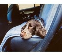 eXtreme Dog Luxury Faux Fur Backseats Comfy Car Seat Cover