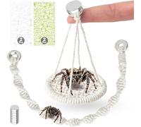 exylosluxek 6 Piece Strong Magnetic Jumping Spider Accessories for Jumping Spider Enclosure, Habitat Climbing Decor Kit - Includes 2 White Spider Webs 2 Green Spider Webs 1 Jumping Spid
