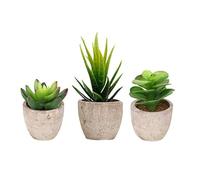 Eyand 3Pcs Artificial Potted Succulents Plants - Small Artificial Plants indoor, Mini Decorative Plants, Fake Houseplants for Living Room, Office, kitchen, Bookshelf, Tabletop Decoration