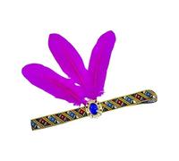 Eye-catching Feathered Headbands Gras Headwear for Girls Masquerade Hair Accessories Gras Flapper Headband