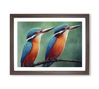 Eye Catching Kingfisher Birds Framed Print | A4 Walnut Framed Wall Art | Ready to Hang | Modern Nature Picture | Living Room Bedroom Lounge Office